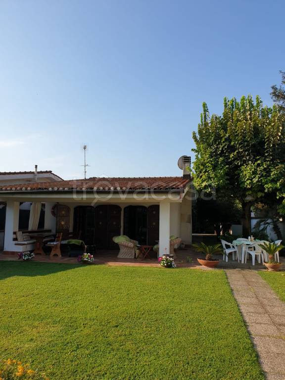 immagine annuncio 9 di 14