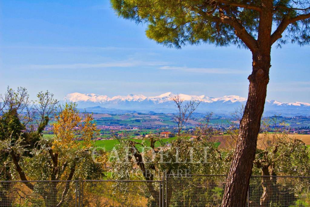 immagine annuncio 3 di 14