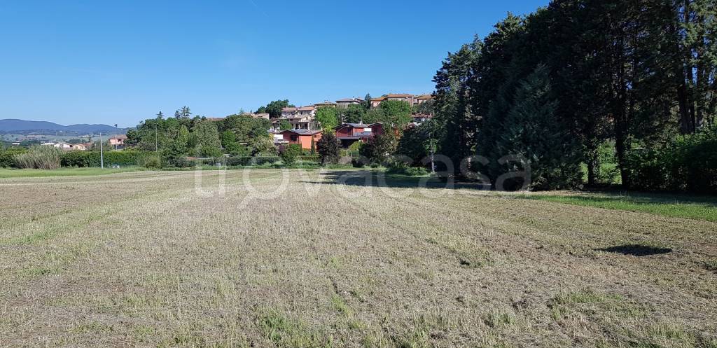 Terreno Agricolo in vendita a Perugia strada Castel del Piano Bagnaia