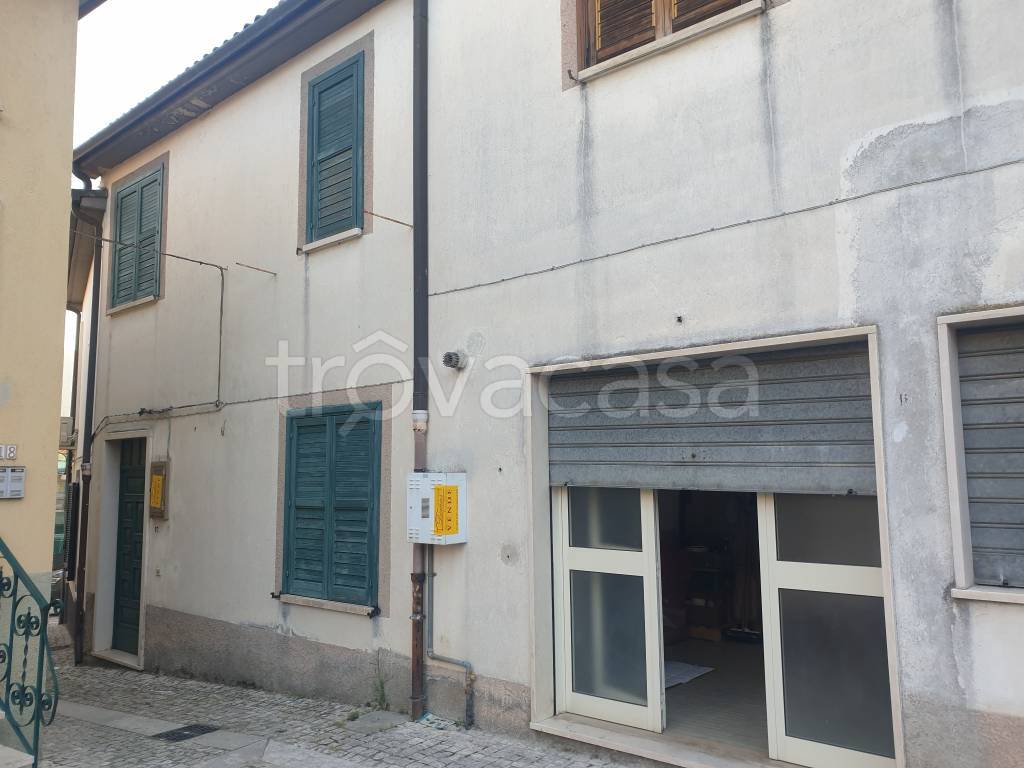 immagine annuncio 1 di 12