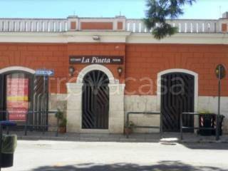 Pizzeria in in vendita da privato a Palo del Colle piazza Armando Diaz, 36