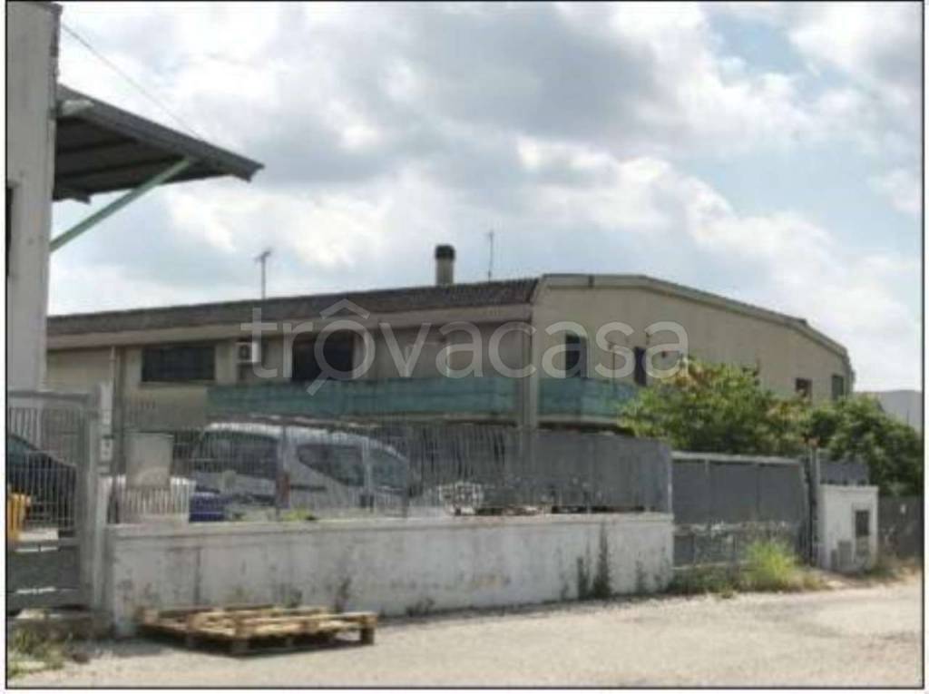 Capannone Industriale in vendita a Notaresco ss150