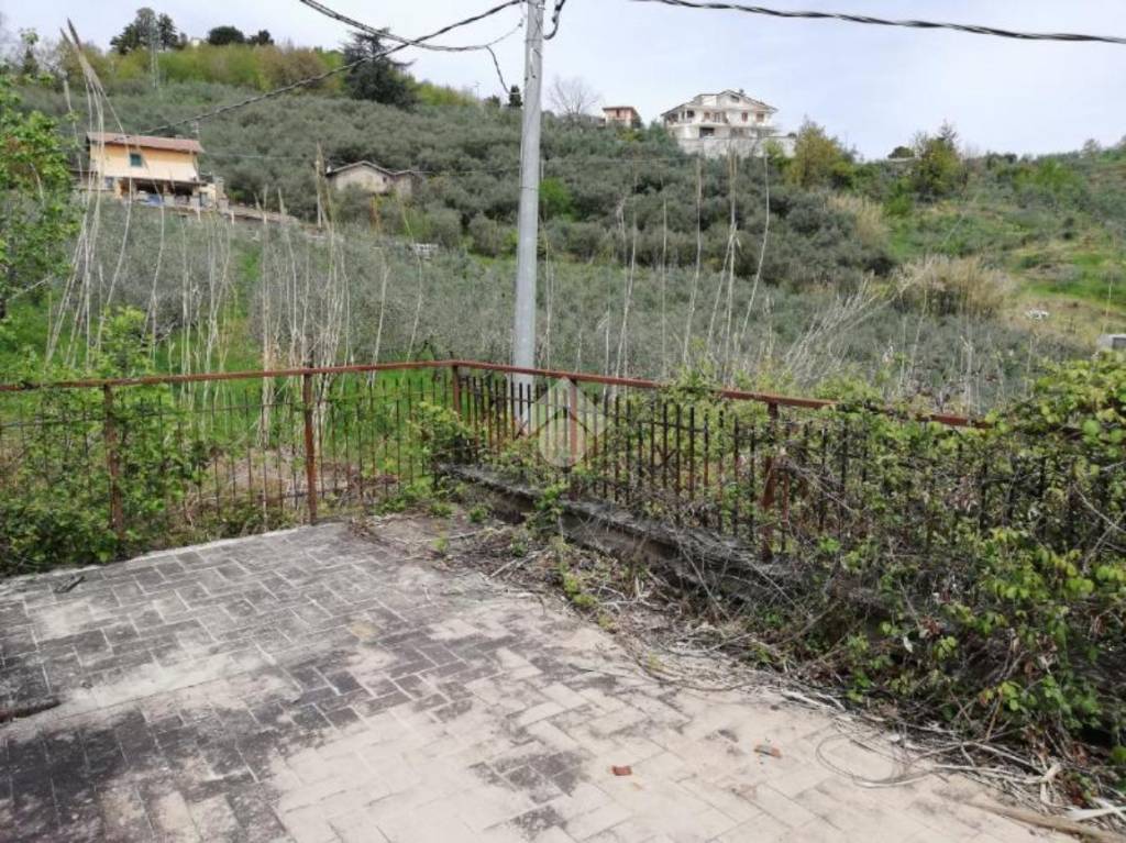 immagine annuncio 9 di 14