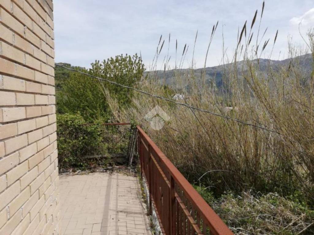 immagine annuncio 5 di 14