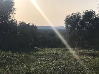 Terreno residenziale in vendita a ostuni corso giuseppe mazzini, 100