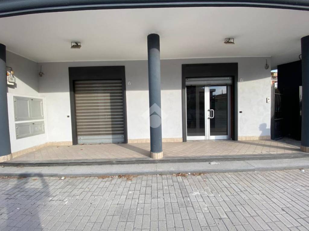 immagine annuncio 4 di 8