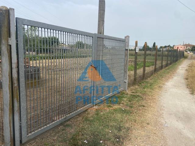 immagine annuncio 6 di 7