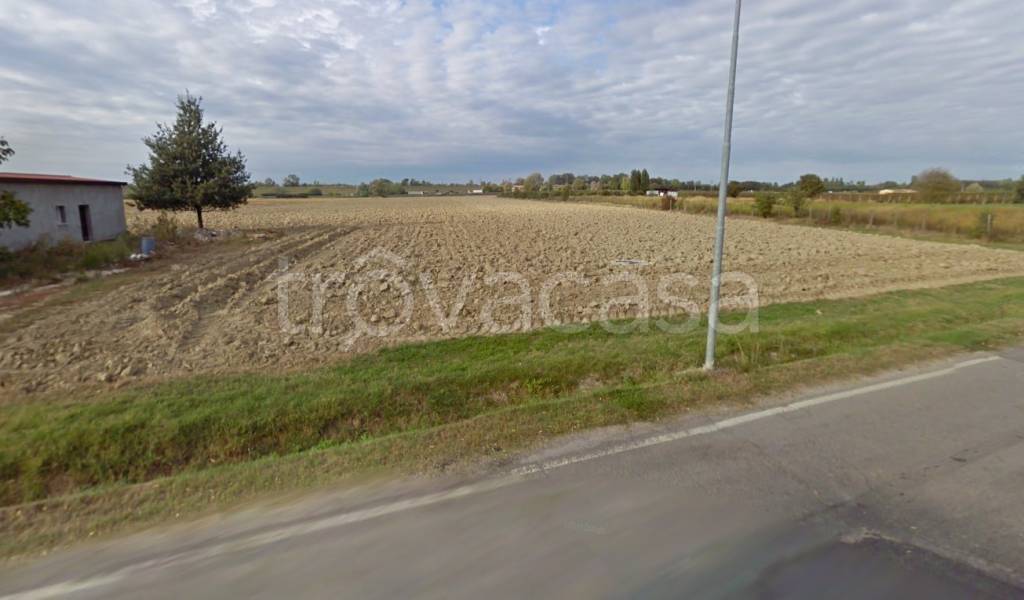 Terreno Agricolo in vendita ad Argenta via Pioppa Storta