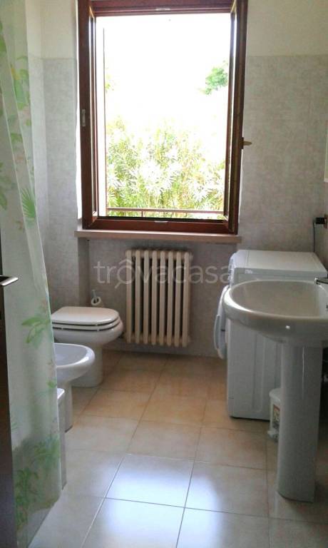 immagine annuncio 5 di 14