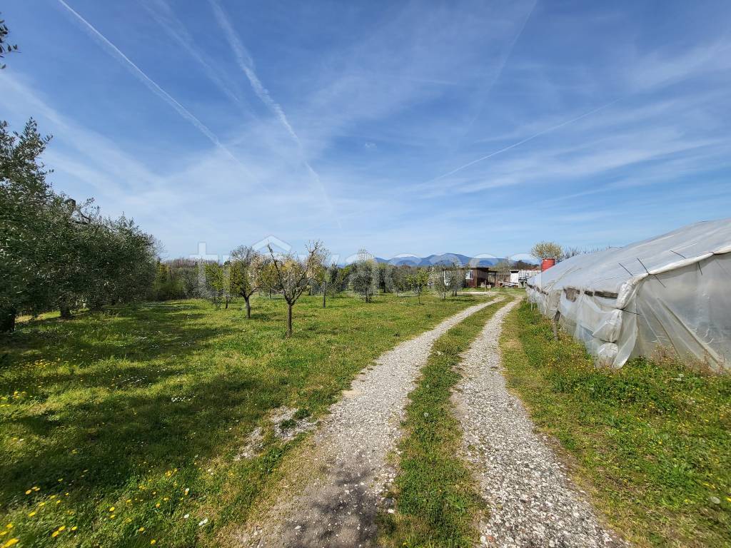 immagine annuncio 1 di 8