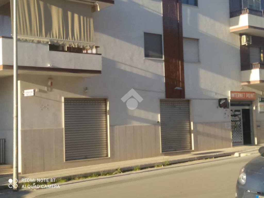 immagine annuncio 2 di 11