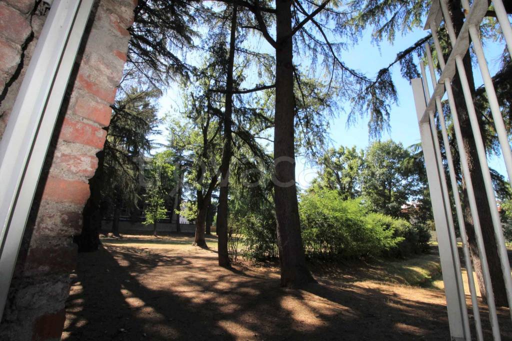 immagine annuncio 10 di 14