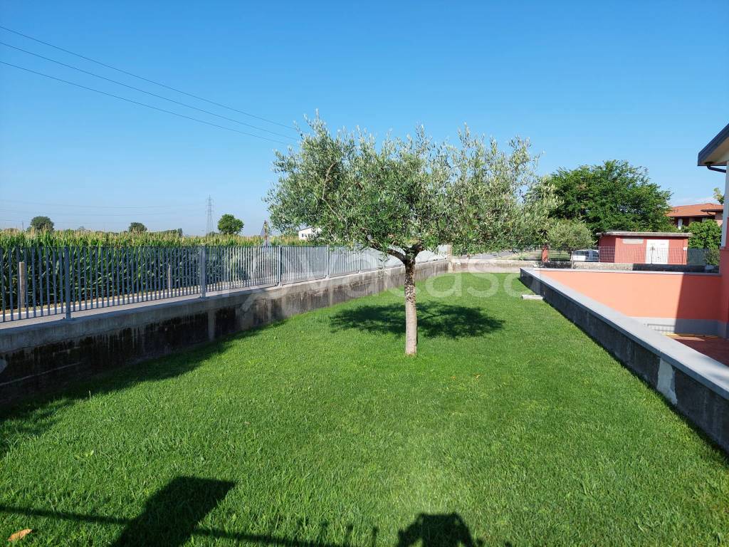 immagine annuncio 5 di 15