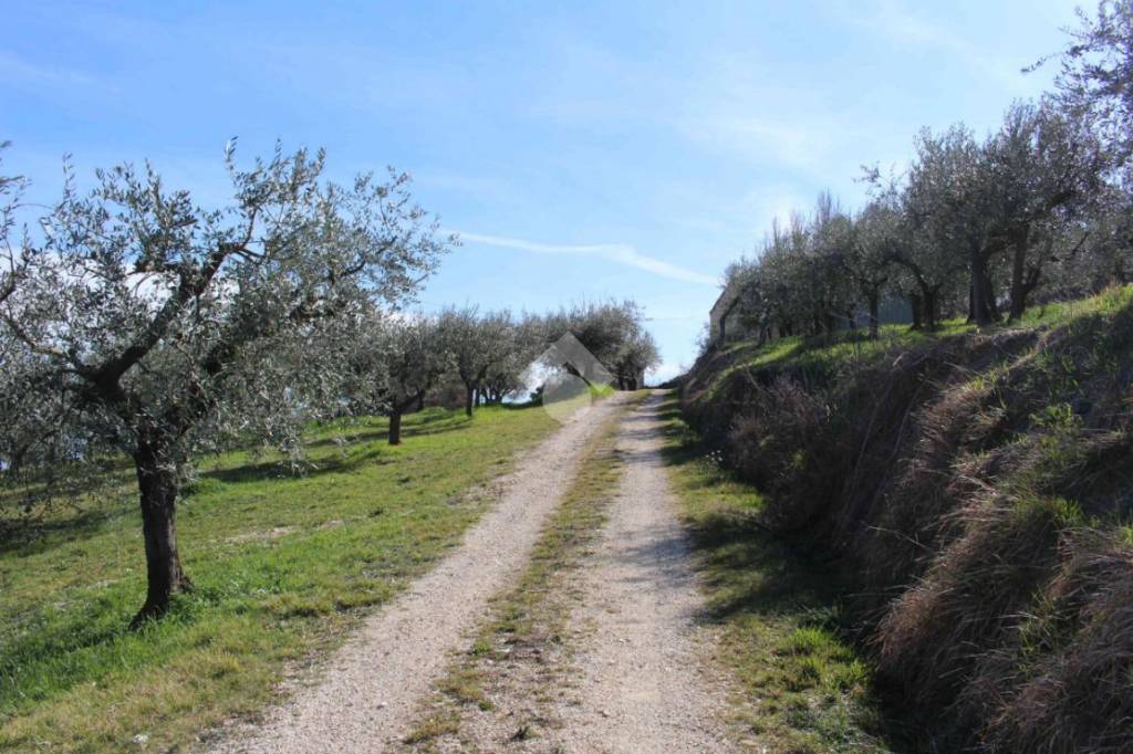 immagine annuncio 6 di 13