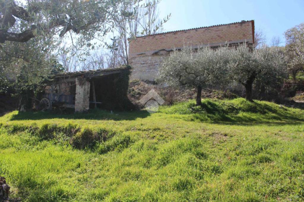 immagine annuncio 11 di 13