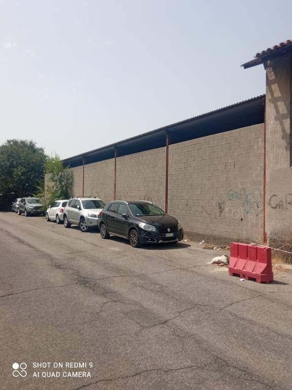 immagine annuncio 1 di 2