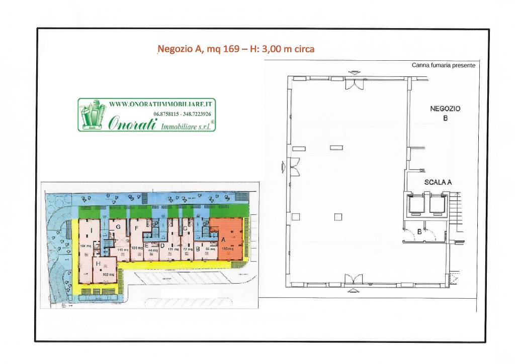 immagine annuncio 13 di 15