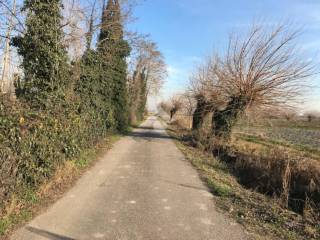 Terreno agricolo in vendita a buttapietra 