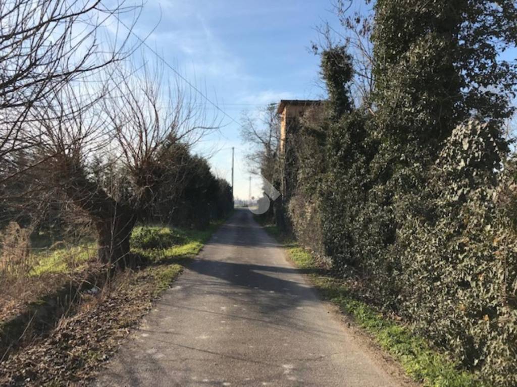 immagine annuncio 2 di 6