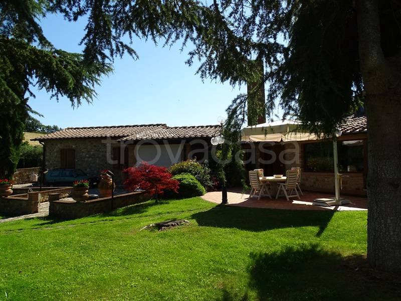 immagine annuncio 4 di 8