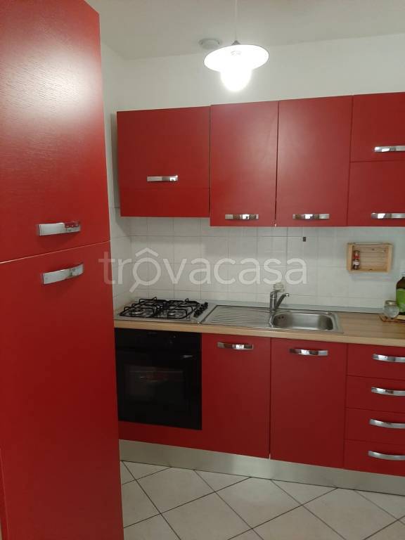 immagine annuncio 2 di 14