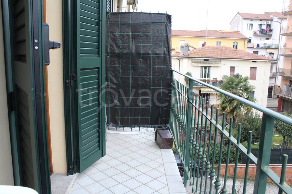 immagine annuncio 12 di 14