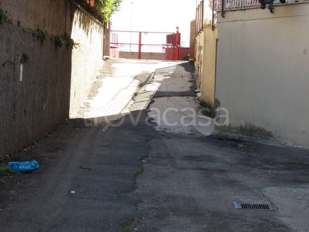 immagine annuncio 9 di 14
