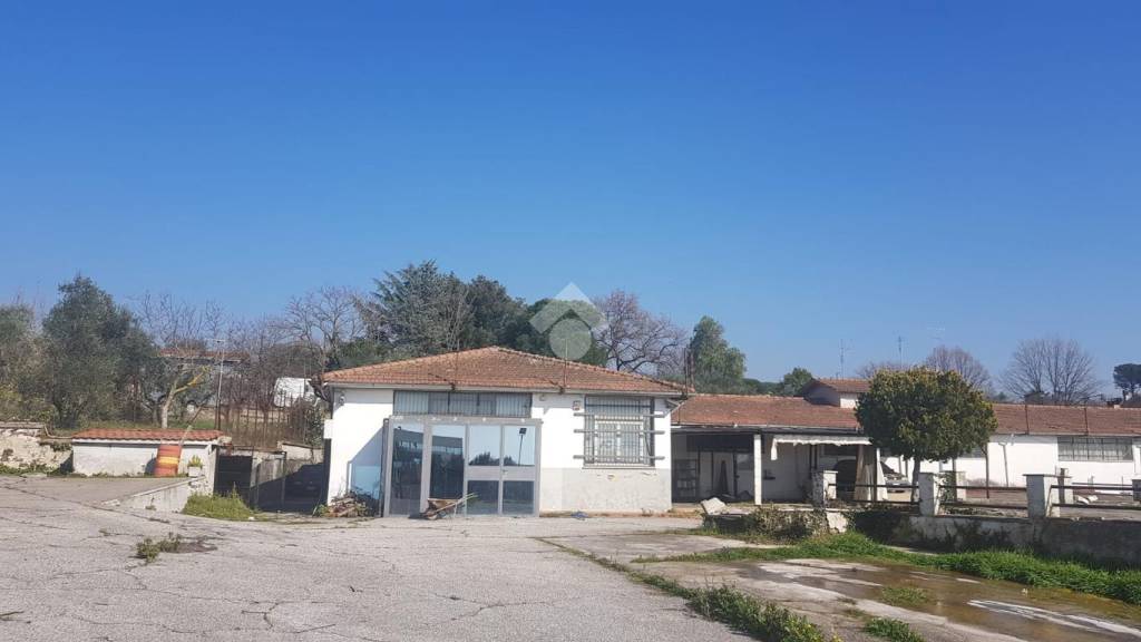 immagine annuncio 5 di 12