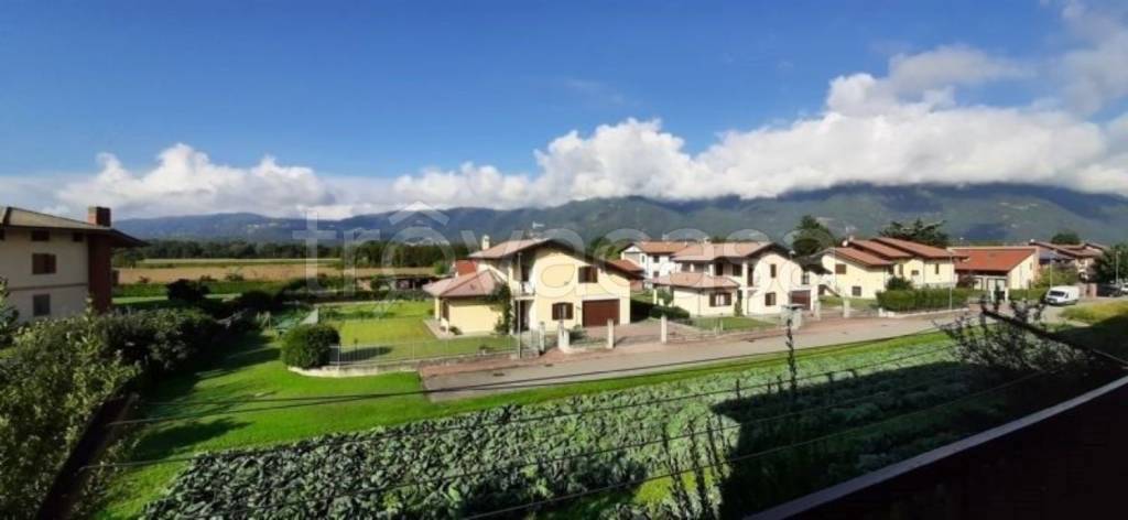 immagine annuncio 10 di 13