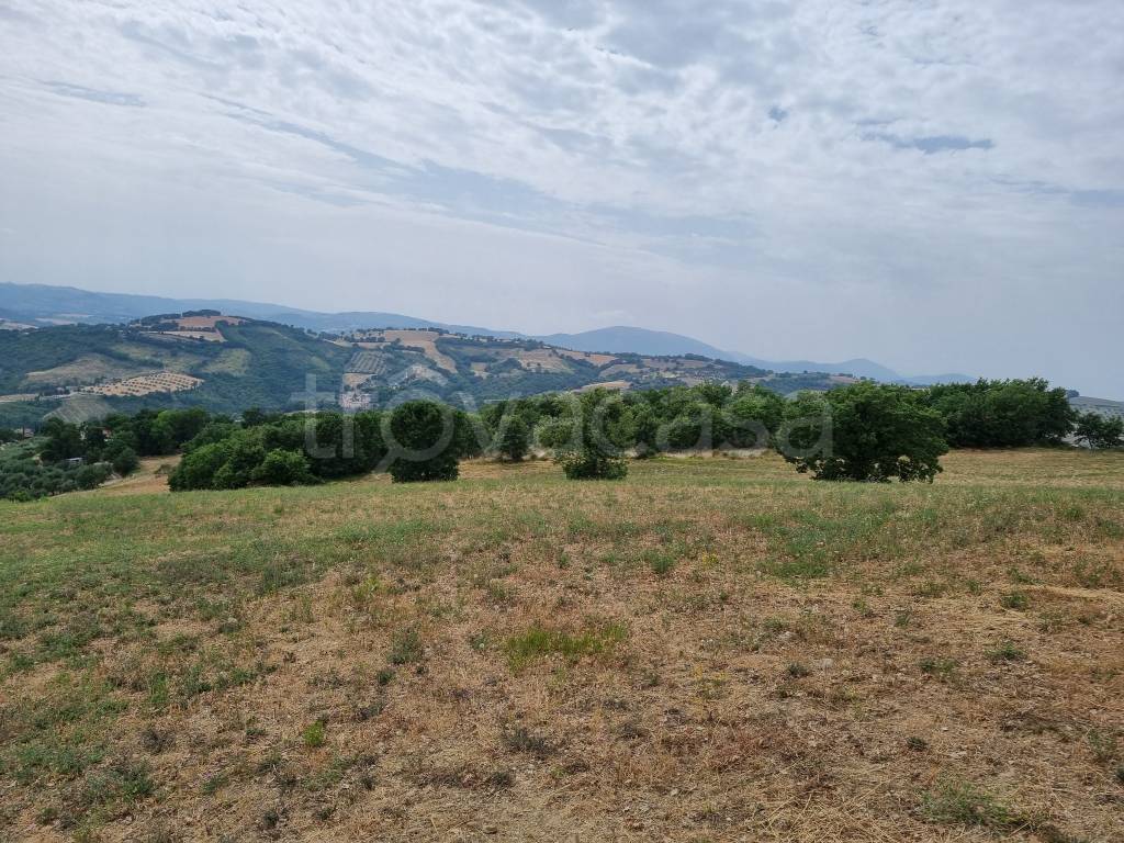 Terreno Agricolo in vendita a Perugia strada Podere Caprareccia
