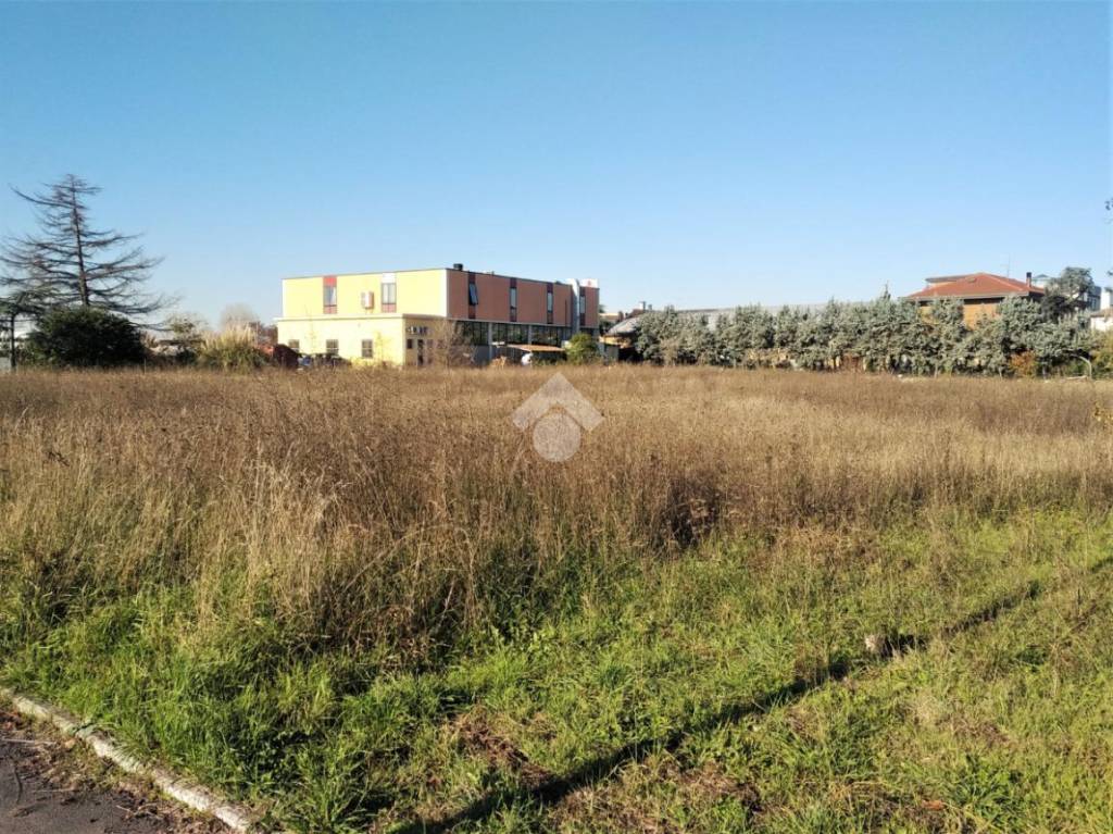 immagine annuncio 2 di 14