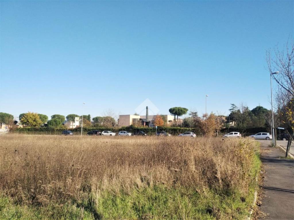 immagine annuncio 6 di 14