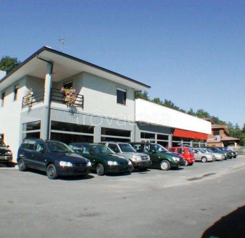 immagine annuncio 1 di 3