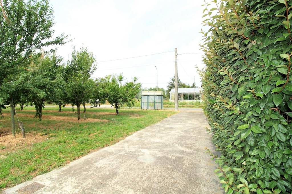 immagine annuncio 5 di 8