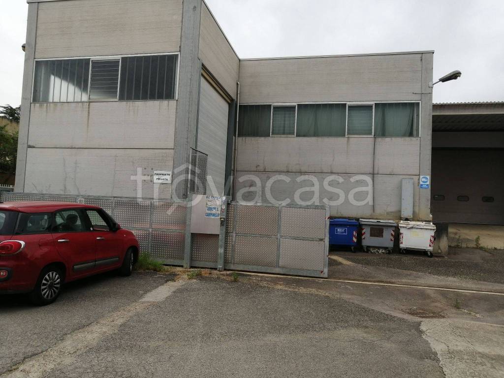 Capannone Industriale in in affitto da privato a Castelfiorentino via Vittorio Niccoli, 47