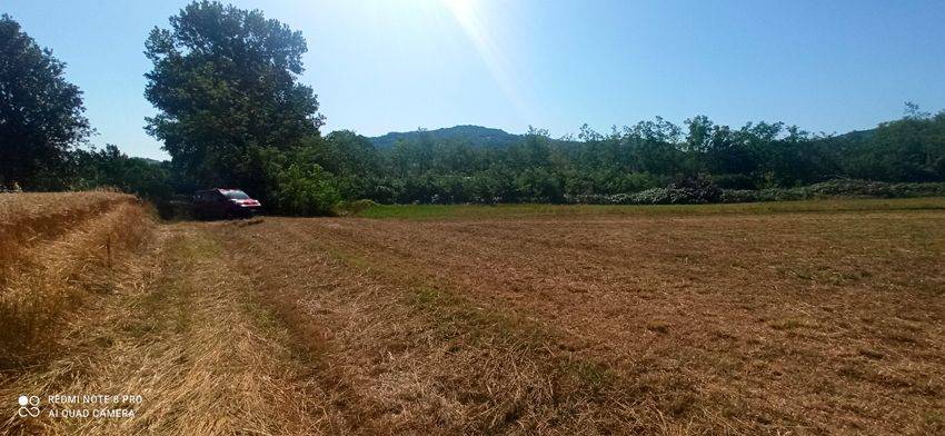 Terreno Agricolo in vendita a Melazzo frazione Arzello