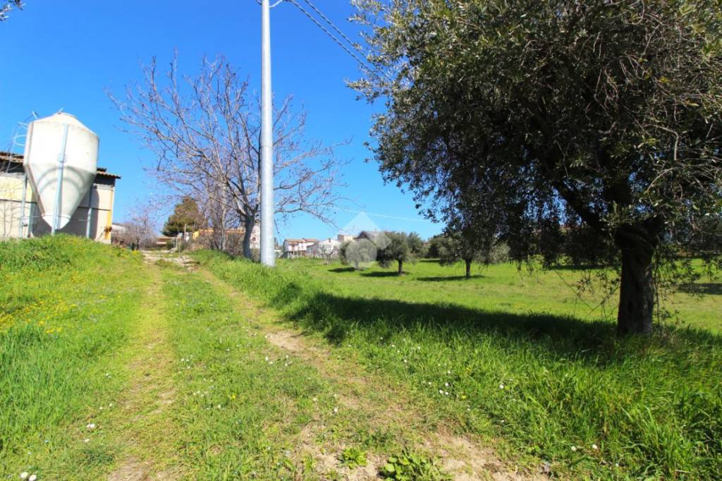 immagine annuncio 11 di 15