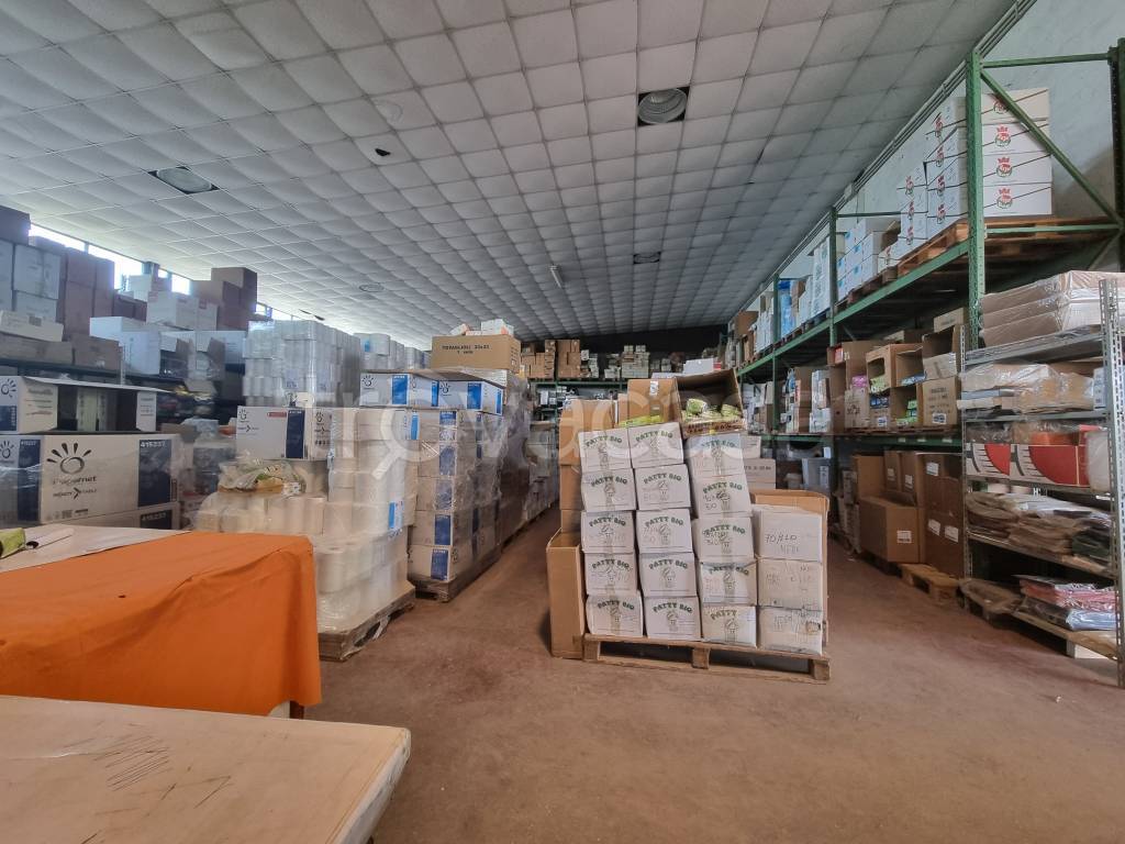 Capannone Industriale in vendita a Marino via Nettunense, 78