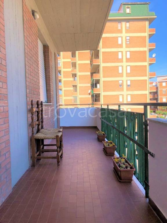 immagine annuncio 2 di 12