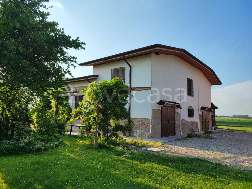 immagine annuncio 3 di 7