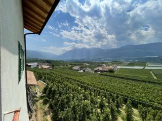 Terreno agricolo in vendita a predaia borgo rione, 15