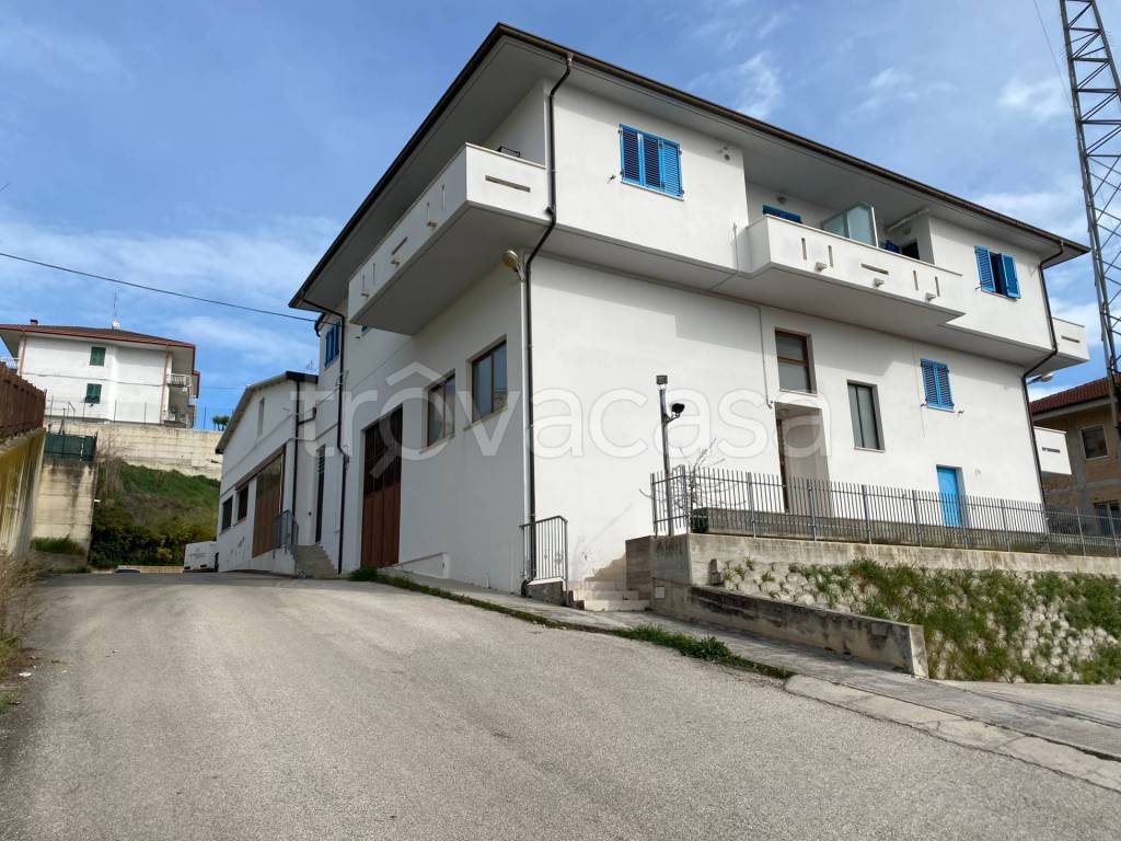 immagine annuncio 8 di 11