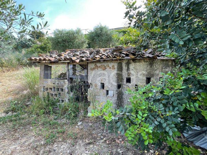 immagine annuncio 8 di 9