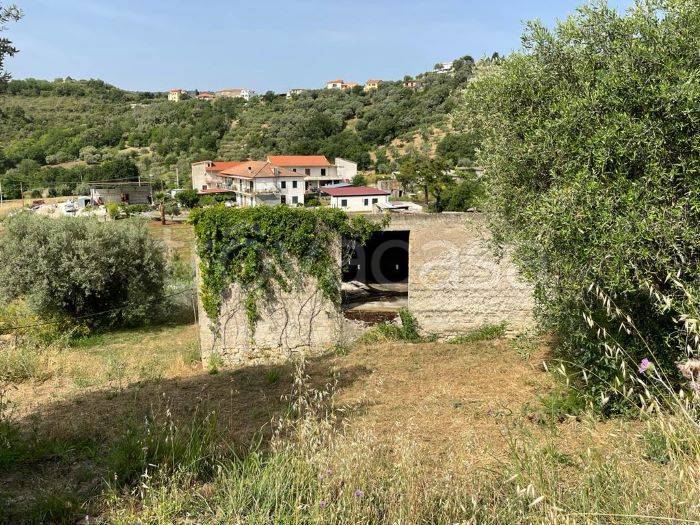 immagine annuncio 6 di 9