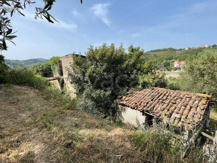 immagine annuncio 3 di 9