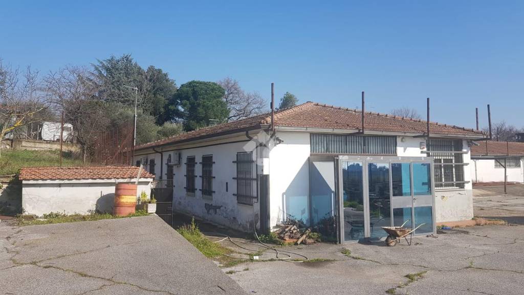 immagine annuncio 8 di 12