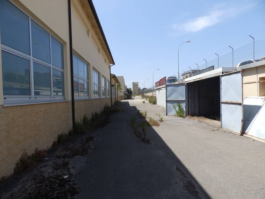 immagine annuncio 14 di 15