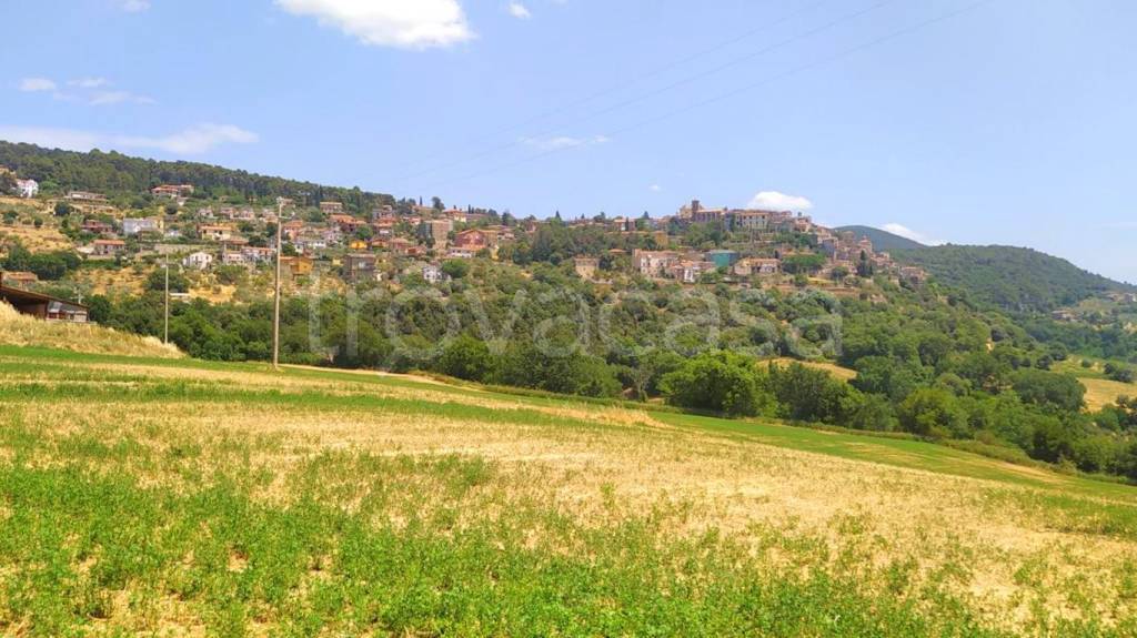Terreno Residenziale in vendita a Calvi dell'Umbria vocabolo San Martino