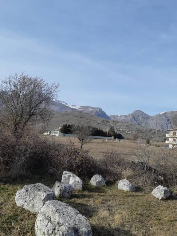 immagine annuncio 10 di 12