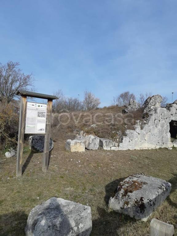 immagine annuncio 11 di 12